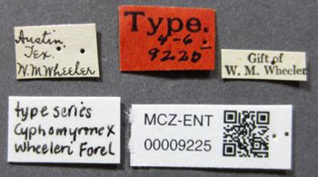 Media type: image;   Entomology 9225 Aspect: labels